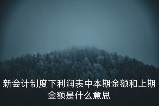 新會計制度下利潤表中本期金額和上期金額是什么意思