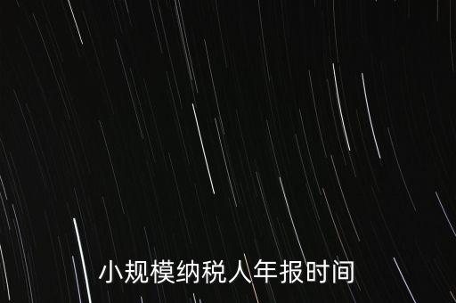 納稅申報年報什么時候，小規(guī)模納稅人年報時間