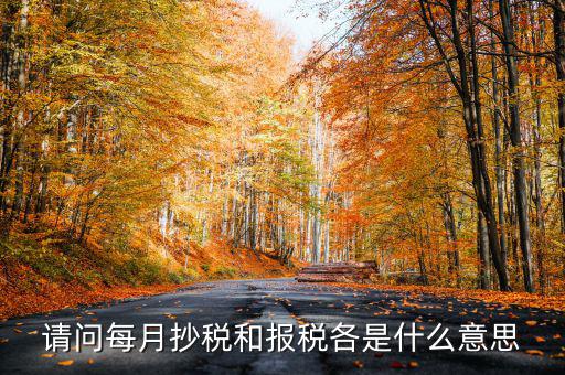 請(qǐng)問每月抄稅和報(bào)稅各是什么意思
