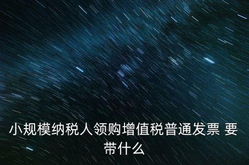 小規(guī)模納稅人領(lǐng)購增值稅普通發(fā)票 要帶什么