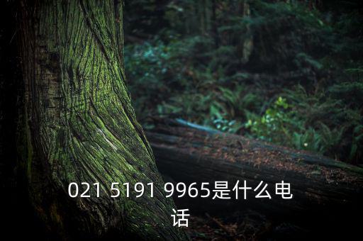 電稅中心是什么意思，021 5191 9965是什么電話