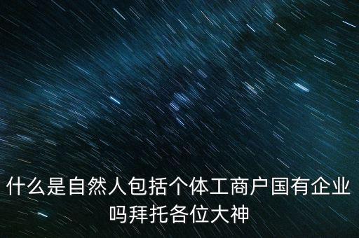 什么是自然人包括個(gè)體工商戶國(guó)有企業(yè)嗎拜托各位大神