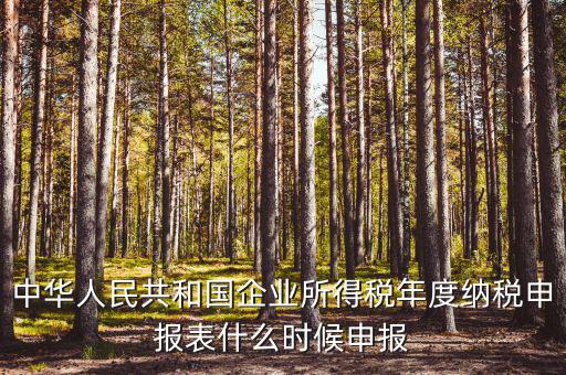 國(guó)稅企業(yè)所得稅什么時(shí)候申報(bào)，企業(yè)所得稅申報(bào)時(shí)間