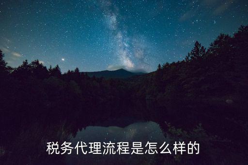 稅務代理人需要什么，代理到稅務機關開票需要哪些證件