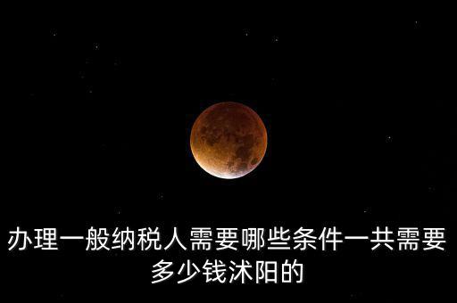 納稅人需求是什么，申請一般納稅人有什么要求嗎需滿足哪些條件華廈投資可以代為申