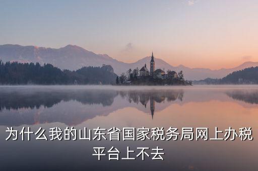 為什么登陸不了網(wǎng)上辦稅廳，為什么我的山東省國家稅務局網(wǎng)上辦稅平臺上不去