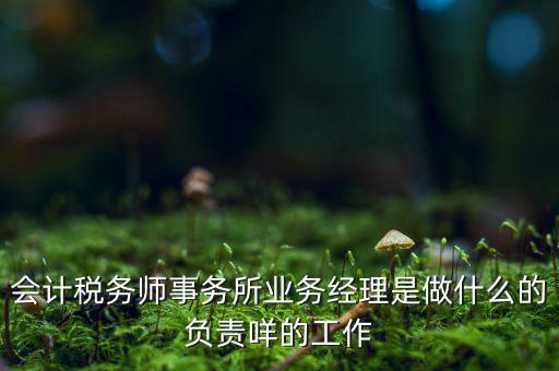 稅務(wù)師事務(wù)所做什么的，稅務(wù)所是干什么的