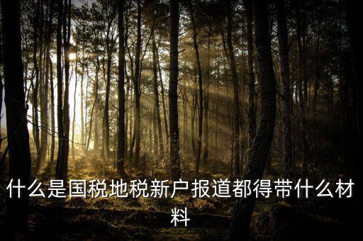 什么是國(guó)稅地稅新戶報(bào)道都得帶什么材料