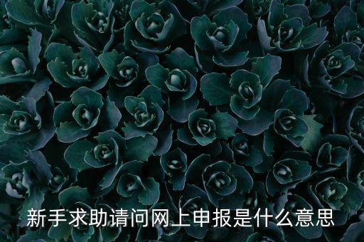 新手求助請問網(wǎng)上申報(bào)是什么意思