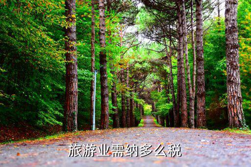 旅游業(yè)是什么稅，旅游行業(yè)需要交納什么稅呢