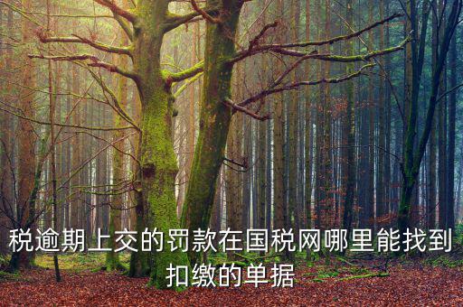 稅逾期上交的罰款在國(guó)稅網(wǎng)哪里能找到扣繳的單據(jù)