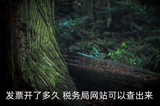 稅局一般什么時(shí)候查發(fā)票，增值稅發(fā)票開多久能在國(guó)家稅務(wù)局查到