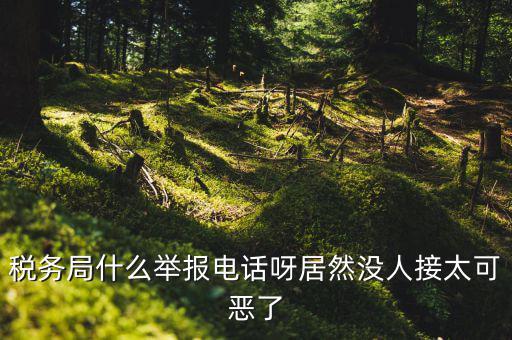 什么叫稅務舉報，稅務局什么舉報電話呀居然沒人接太可惡了