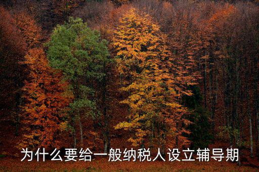為什么增值稅輔導(dǎo)期，什么是輔導(dǎo)期一般納稅人