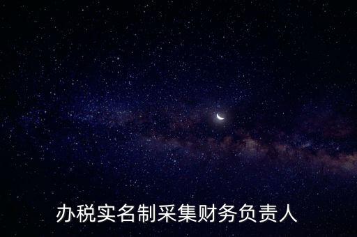 辦稅實名制采集財務負責人