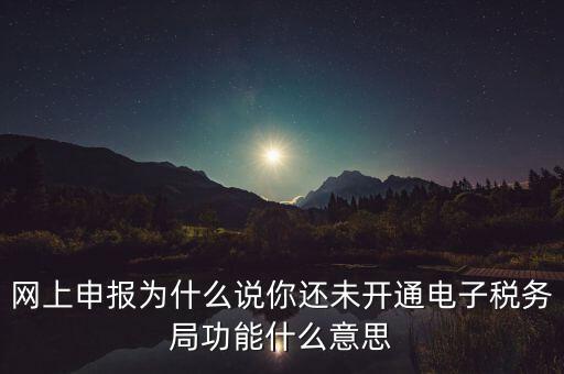 電子稅務(wù)局是干什么，企業(yè)金稅盤系統(tǒng)用來開票抄稅報(bào)稅用那登錄國稅地稅局網(wǎng)站是干嘛的