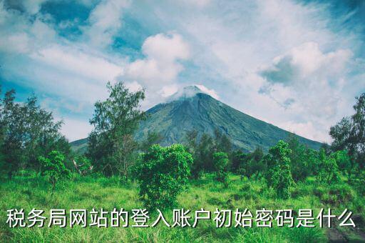 稅務局網站的登入賬戶初始密碼是什么