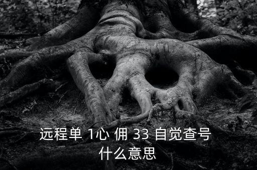 發(fā)查號是什么意思，查號怎么查