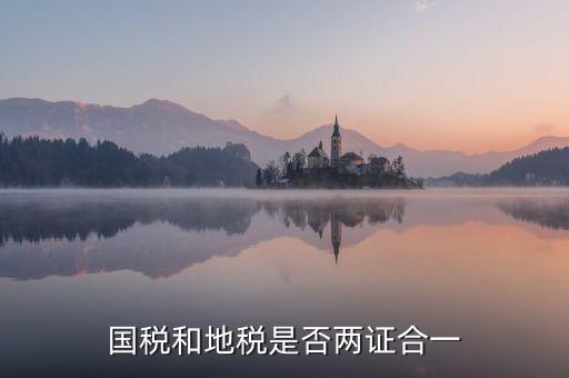 國稅的兩證合一是什么意思，國稅和地稅是否兩證合一