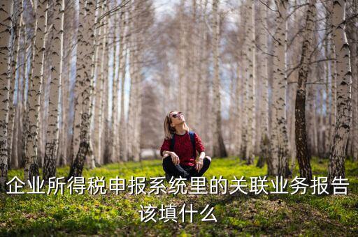 什么情況寫關(guān)聯(lián)申報(bào)，企業(yè)所得稅申報(bào)系統(tǒng)里的關(guān)聯(lián)業(yè)務(wù)報(bào)告該填什么