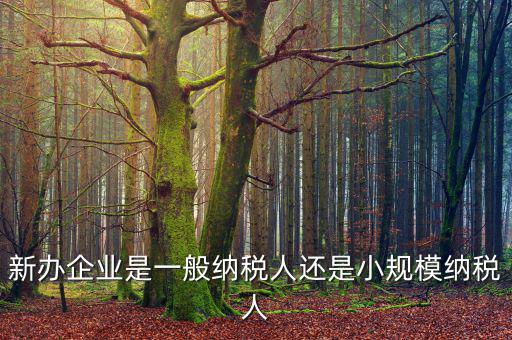 新辦企業(yè)是一般納稅人還是小規(guī)模納稅人