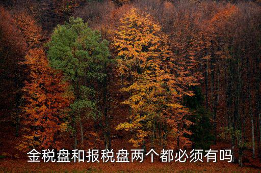 申報(bào)盤是什么，保險(xiǎn)兼業(yè)代理人資格申報(bào)電腦數(shù)據(jù)盤是什么意思