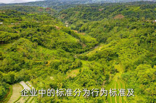 公司的標(biāo)準(zhǔn)是什么，企業(yè)中的標(biāo)準(zhǔn)分為行為標(biāo)準(zhǔn)及