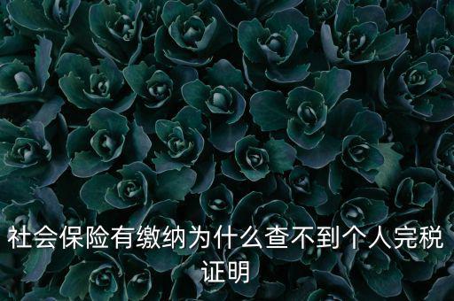 為什么查不到納稅記錄，社會(huì)保險(xiǎn)有繳納為什么查不到個(gè)人完稅證明
