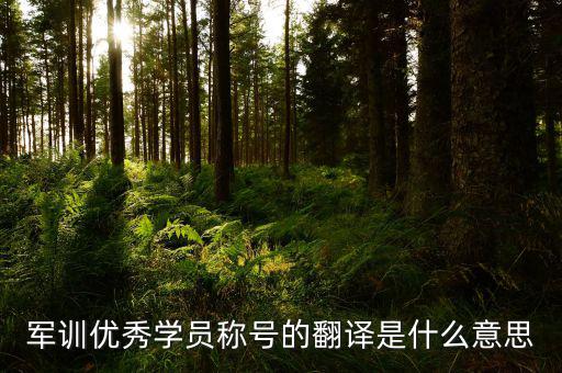 軍訓(xùn)優(yōu)秀學(xué)員稱號(hào)的翻譯是什么意思