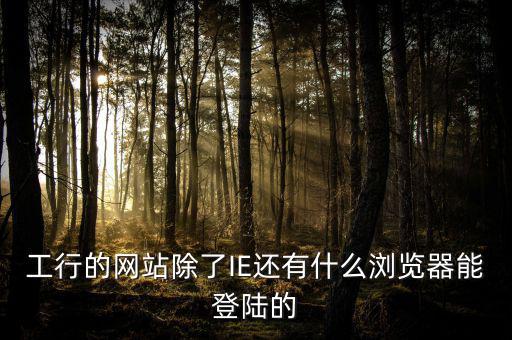 開票登陸的瀏覽器是什么，工行的網(wǎng)站除了IE還有什么瀏覽器能登陸的