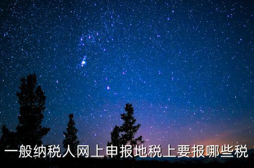 地稅都申報(bào)什么，一般納稅人網(wǎng)上申報(bào)地稅上要報(bào)哪些稅