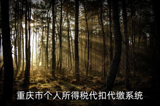 重慶網(wǎng)上繳稅什么網(wǎng)址，重慶市國稅網(wǎng)網(wǎng)址是多少