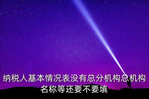 納稅人基本情況表沒(méi)有總分機(jī)構(gòu)總機(jī)構(gòu)名稱(chēng)等還要不要填