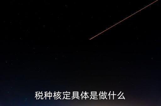 票中核定是什么核定的，哪些情況下要進(jìn)行國(guó)稅票種核定