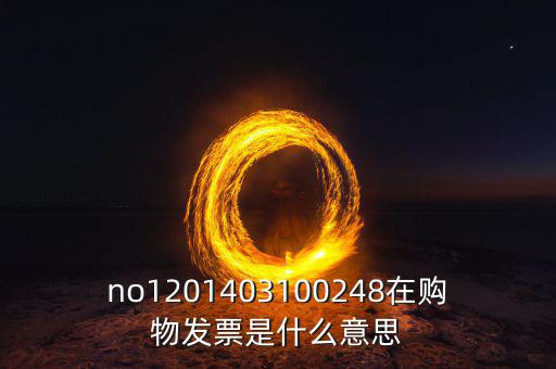 湖南發(fā)票號碼是什么意思，發(fā)票參考號是什么意思
