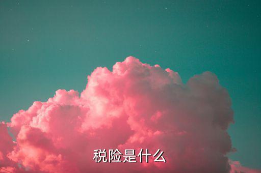 保險的稅優(yōu)碼是什么意思，稅險是什么