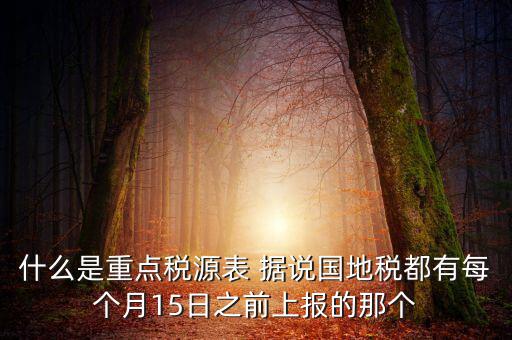什么是重點稅源表 據(jù)說國地稅都有每個月15日之前上報的那個