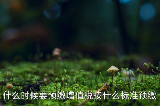 什么時候要預(yù)繳增值稅按什么標(biāo)準(zhǔn)預(yù)繳