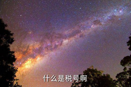 公司稅號(hào)是什么，公司的稅號(hào)一般有多少位