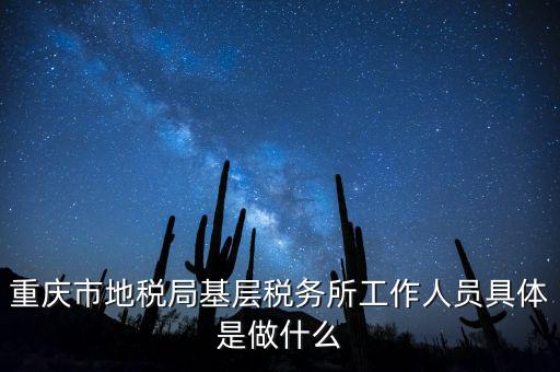 重慶地稅局前臺做什么的，重慶市地稅局基層稅務所工作人員具體是做什么