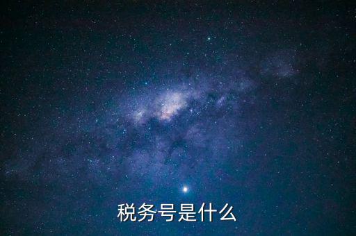 什么是稅務(wù)登記號，稅務(wù)號是什么