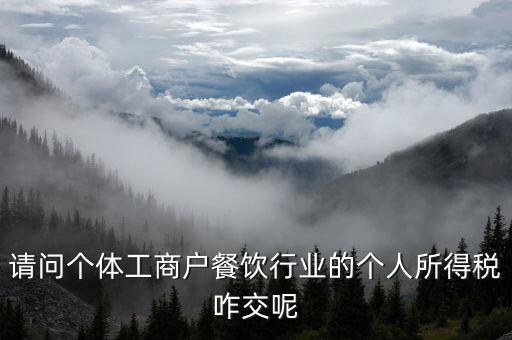 請(qǐng)問(wèn)個(gè)體工商戶(hù)餐飲行業(yè)的個(gè)人所得稅咋交呢