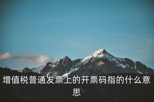 稅控盤開票碼是什么，增值稅普通發(fā)票上的開票碼指的什么意思