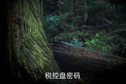 稅控盤證書密碼是什么意思，稅控盤上報匯總密碼是什么