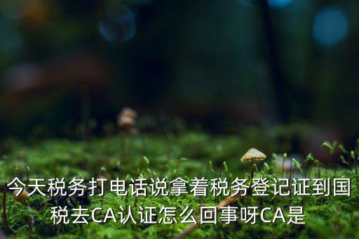 稅務局ca證書是什么，今天稅務打電話說拿著稅務登記證到國稅去CA認證怎么回事呀CA是