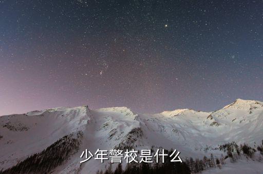 少年稅校是什么，少年警校是什么