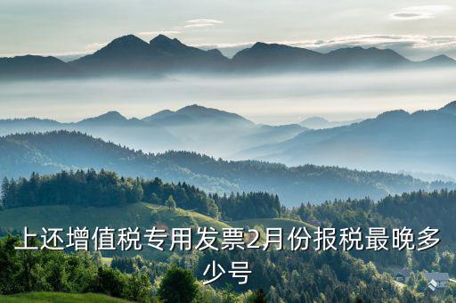 己開(kāi)具專(zhuān)用票最遲什么時(shí)侯報(bào)稅，銷(xiāo)售貨物開(kāi)具了發(fā)票什么時(shí)候報(bào)稅