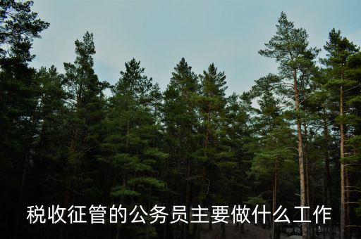 稅收管理員干什么的，稅收征管的公務(wù)員主要做什么工作
