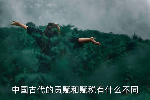 賦稅古代指什么，秦朝賦稅嚴(yán)重被稱為什么的