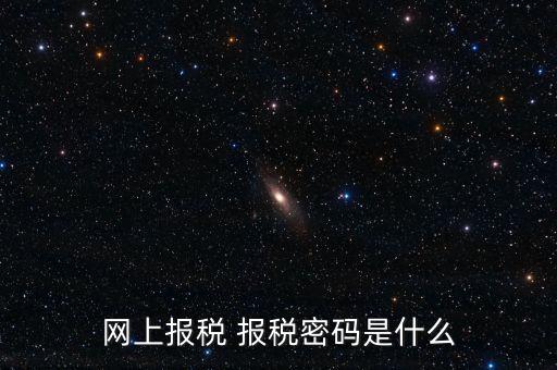 網上報稅 報稅密碼是什么